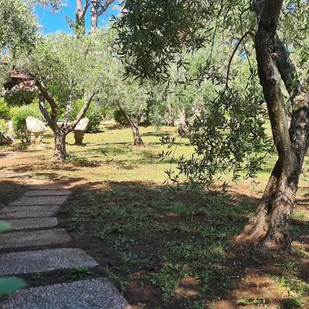 L'uliveta Del Luschi Villa